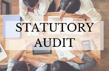 Statutory Auditing