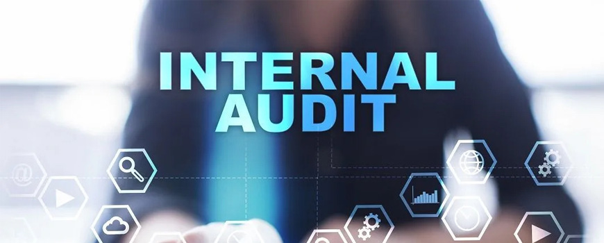 international audit 2